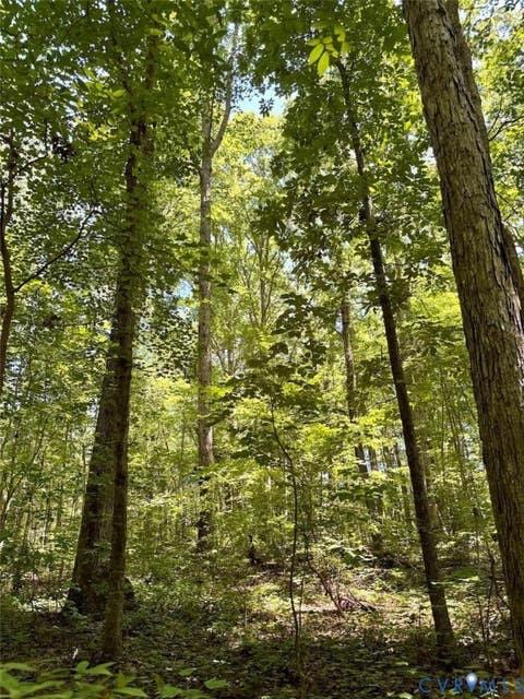 Tiny photo for 000 Red Level Lane, South Hill, VA 23970 (MLS # 2620469)