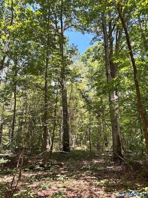 Tiny photo for 000 Red Level Lane, South Hill, VA 23970 (MLS # 2620469)