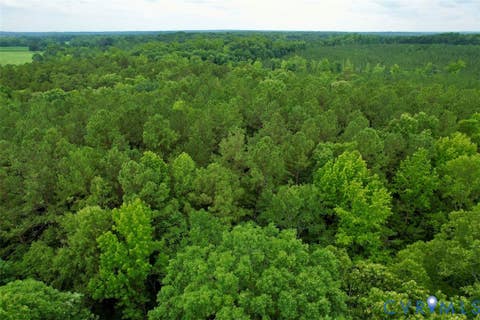 Tiny photo for 000 Red Level Lane, South Hill, VA 23970 (MLS # 2620469)