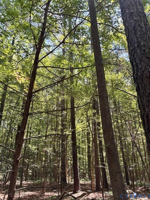 Tiny photo for 000 Red Level Lane, South Hill, VA 23970 (MLS # 2620469)