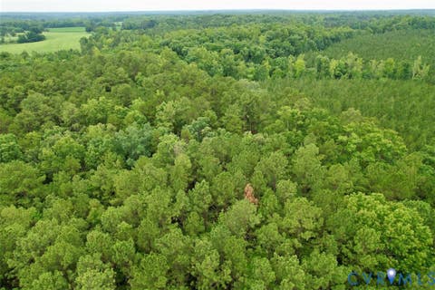 Tiny photo for 000 Red Level Lane, South Hill, VA 23970 (MLS # 2620469)