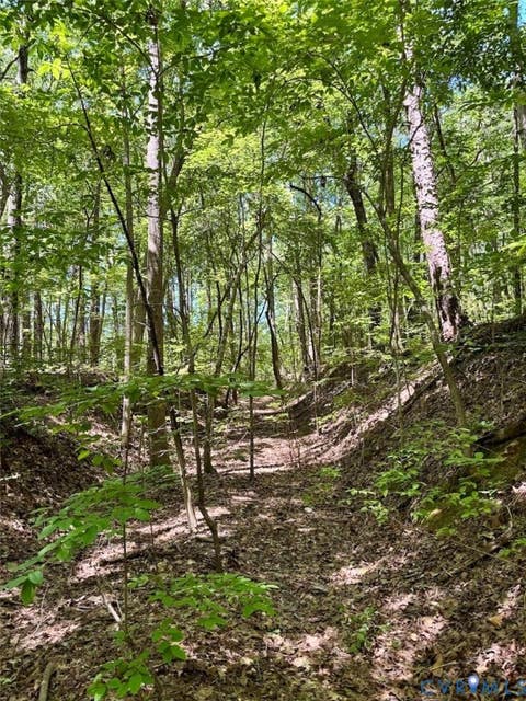 Tiny photo for 000 Red Level Lane, South Hill, VA 23970 (MLS # 2620469)