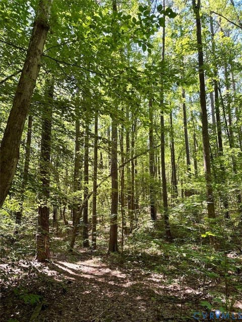 Tiny photo for 000 Red Level Lane, South Hill, VA 23970 (MLS # 2620469)