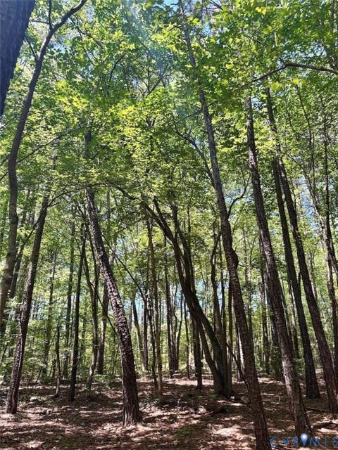 Tiny photo for 000 Red Level Lane, South Hill, VA 23970 (MLS # 2620469)