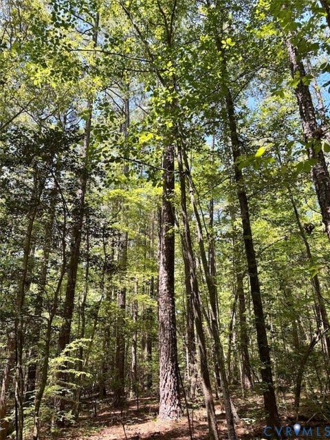 Tiny photo for 000 Red Level Lane, South Hill, VA 23970 (MLS # 2620469)