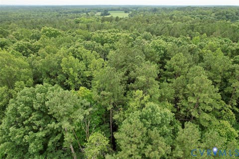 Tiny photo for 000 Red Level Lane, South Hill, VA 23970 (MLS # 2620469)