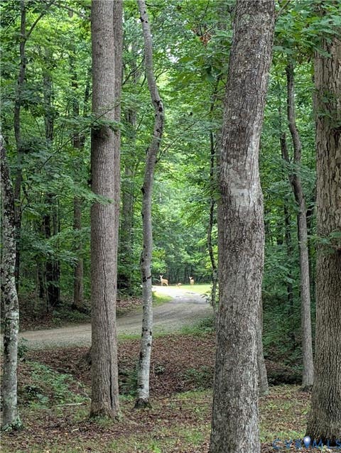 Tiny photo for 4308A Three Bridge Road, Powhatan, VA 23139 (MLS # 2617727)