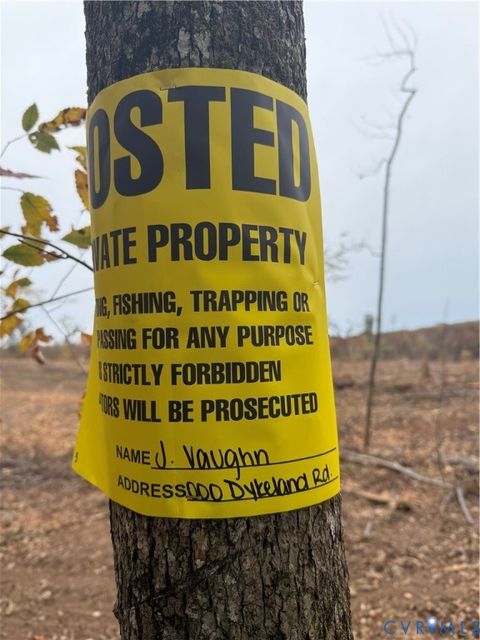 Tiny photo for 0 Dykeland, Amelia Courthouse, VA 23002 (MLS # 2530079)