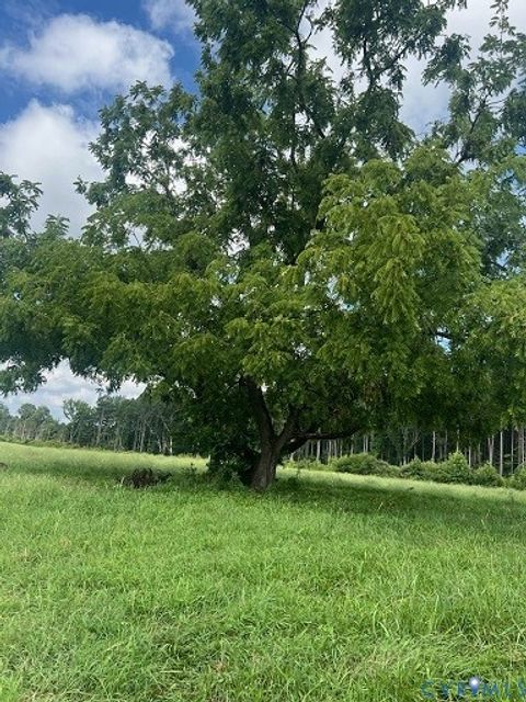 Tiny photo for 7000 Dennisville Road, Amelia Courthouse, VA 23002 (MLS # 2607657)