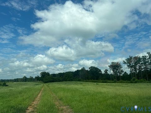 Photo of 7000 Dennisville Road, Amelia Courthouse, VA 23002 (MLS # 2607657)