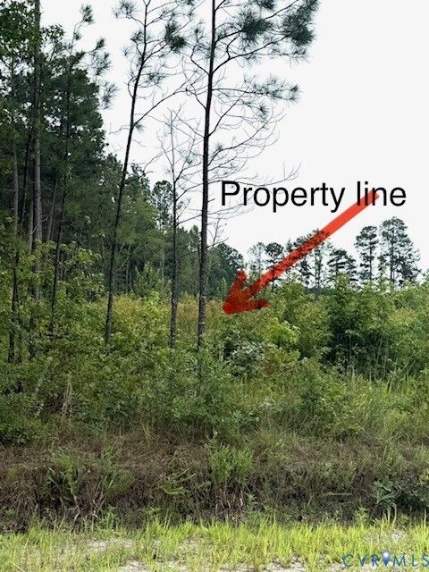 Tiny photo for 0 Sussex Dr & Longevity Rd, Sussex, VA 23884 (MLS # 2620213)