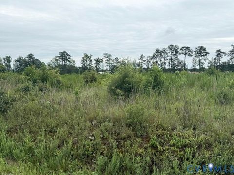 Photo of 0 Sussex Dr & Longevity Rd, Sussex, VA 23884 (MLS # 2620213)