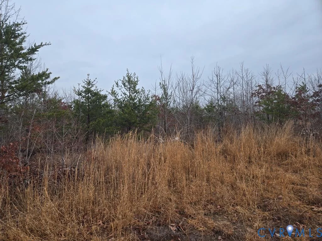 00 Leigh Mountain Rd Rd
