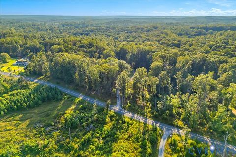 Tiny photo for 0 Mt Airy Road, Louisa, VA 23093 (MLS # 2524468)