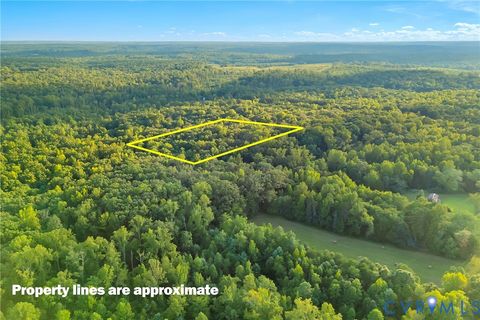 Photo of 0 Mt Airy Road, Louisa, VA 23093 (MLS # 2524468)