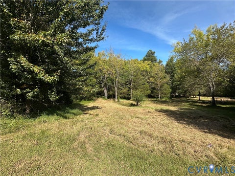 Tiny photo for 25400 SAYLERS CREEK ROAD RD, Jetersville, VA 23083 (MLS # 2628022)