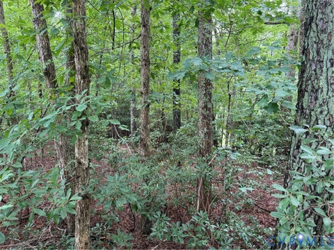 Tiny photo for 9988 Mill Pond Run, Toano, VA 23168 (MLS # 2619536)