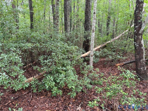 Tiny photo for 9988 Mill Pond Run, Toano, VA 23168 (MLS # 2619536)