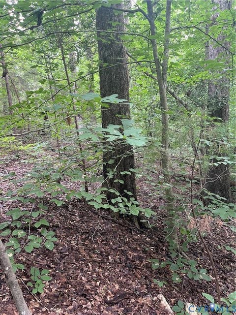 Tiny photo for TBD Francisco Lane, Crewe, VA 23930 (MLS # 2622396)