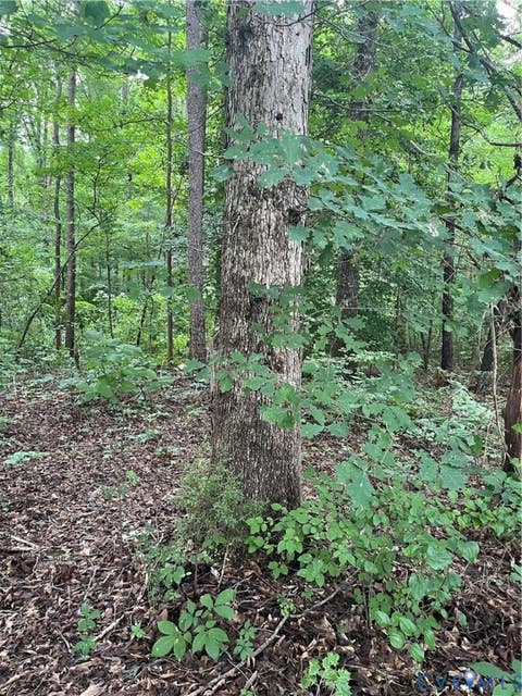 Tiny photo for TBD Francisco Lane, Crewe, VA 23930 (MLS # 2622396)