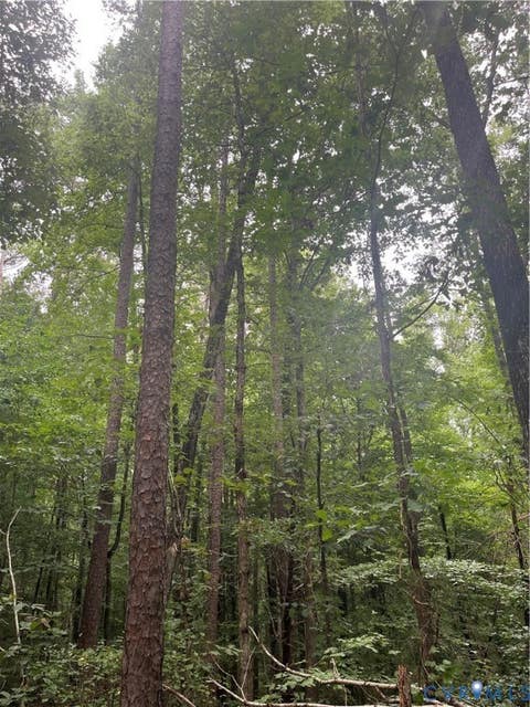 Tiny photo for TBD Francisco Lane, Crewe, VA 23930 (MLS # 2622396)