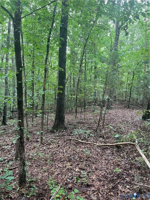Tiny photo for TBD Francisco Lane, Crewe, VA 23930 (MLS # 2622396)