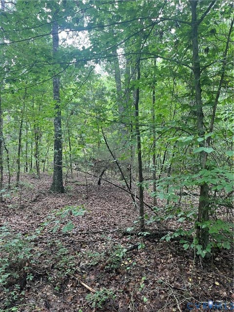 Tiny photo for TBD Francisco Lane, Crewe, VA 23930 (MLS # 2622396)