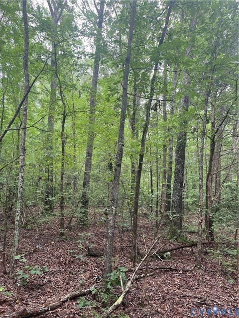 Tiny photo for TBD Francisco Lane, Crewe, VA 23930 (MLS # 2622396)