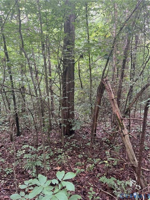Tiny photo for TBD Francisco Lane, Crewe, VA 23930 (MLS # 2622396)