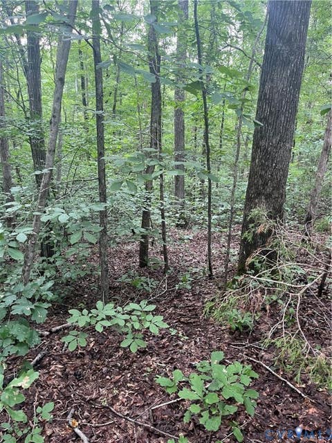 Tiny photo for TBD Francisco Lane, Crewe, VA 23930 (MLS # 2622396)