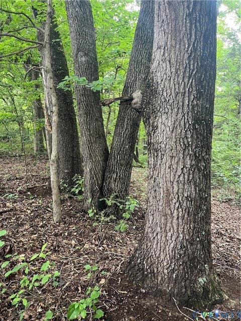 Tiny photo for TBD Francisco Lane, Crewe, VA 23930 (MLS # 2622396)