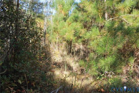 Tiny photo for TBD East River Road, Cardinal, VA 23025 (MLS # 2530113)