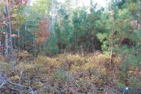 Tiny photo for TBD East River Road, Cardinal, VA 23025 (MLS # 2530113)