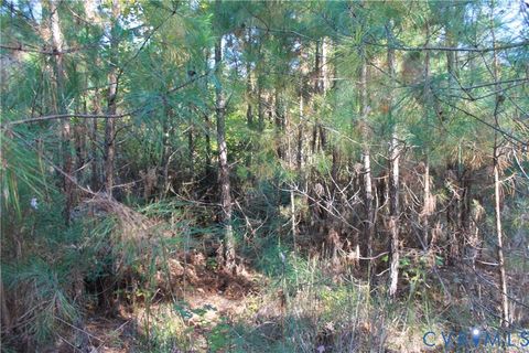 Tiny photo for TBD East River Road, Cardinal, VA 23025 (MLS # 2530113)