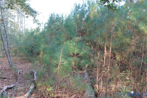 Tiny photo for TBD East River Road, Cardinal, VA 23025 (MLS # 2530113)