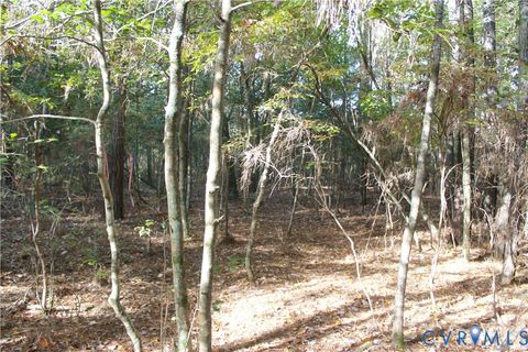 Tiny photo for TBD East River Road, Cardinal, VA 23025 (MLS # 2530113)