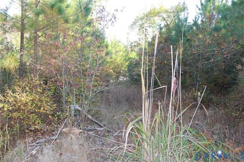 Tiny photo for TBD East River Road, Cardinal, VA 23025 (MLS # 2530113)