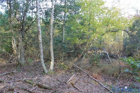 Tiny photo for TBD East River Road, Cardinal, VA 23025 (MLS # 2530113)