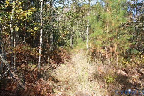 Tiny photo for TBD East River Road, Cardinal, VA 23025 (MLS # 2530113)