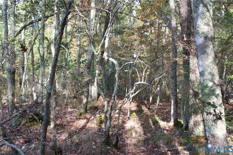 Tiny photo for TBD East River Road, Cardinal, VA 23025 (MLS # 2530113)