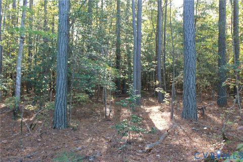 Tiny photo for TBD East River Road, Cardinal, VA 23025 (MLS # 2530113)
