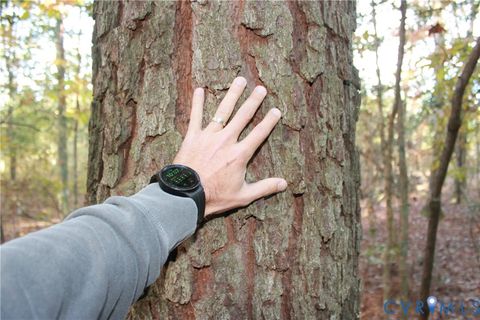 Tiny photo for TBD East River Road, Cardinal, VA 23025 (MLS # 2530113)