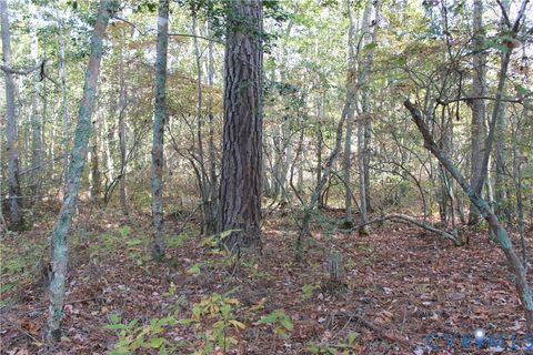 Tiny photo for TBD East River Road, Cardinal, VA 23025 (MLS # 2530113)