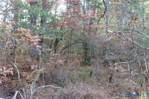 Tiny photo for TBD East River Road, Cardinal, VA 23025 (MLS # 2530113)