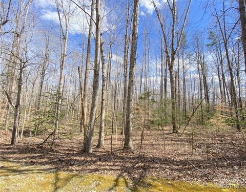 Tiny photo for 4601 Hadensville Farm Lane, Mineral, VA 23117 (MLS # 2516915)