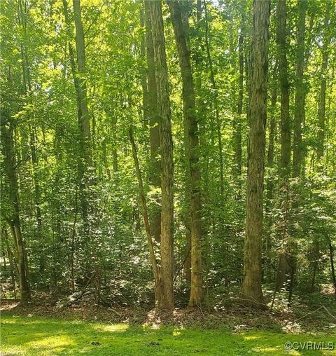 Tiny photo for 4601 Hadensville Farm Lane, Mineral, VA 23117 (MLS # 2516915)