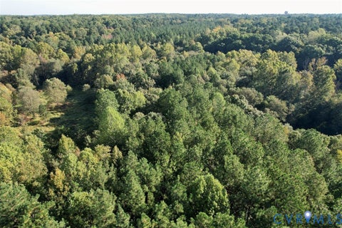 Tiny photo for 1079 W Entrance Road, Blackstone, VA 23824 (MLS # 2628642)