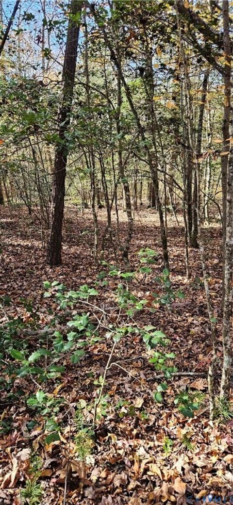 Tiny photo for 1 White House Lane, Center Cross, VA 22437 (MLS # 2611888)