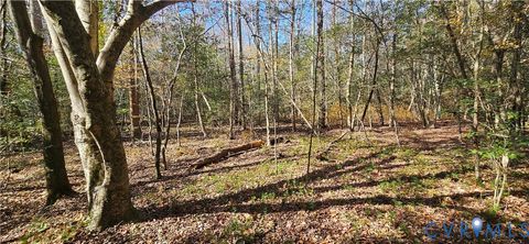 Tiny photo for 1 White House Lane, Center Cross, VA 22437 (MLS # 2611888)