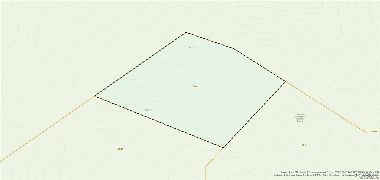 Covington, Virginia 24426, United States, ,Land,Active,179224